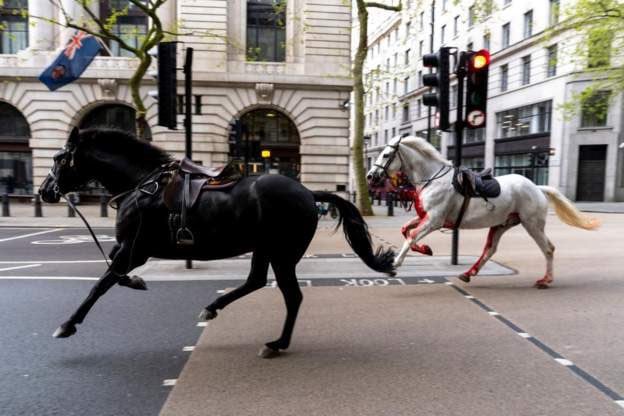 london-horses.jpg